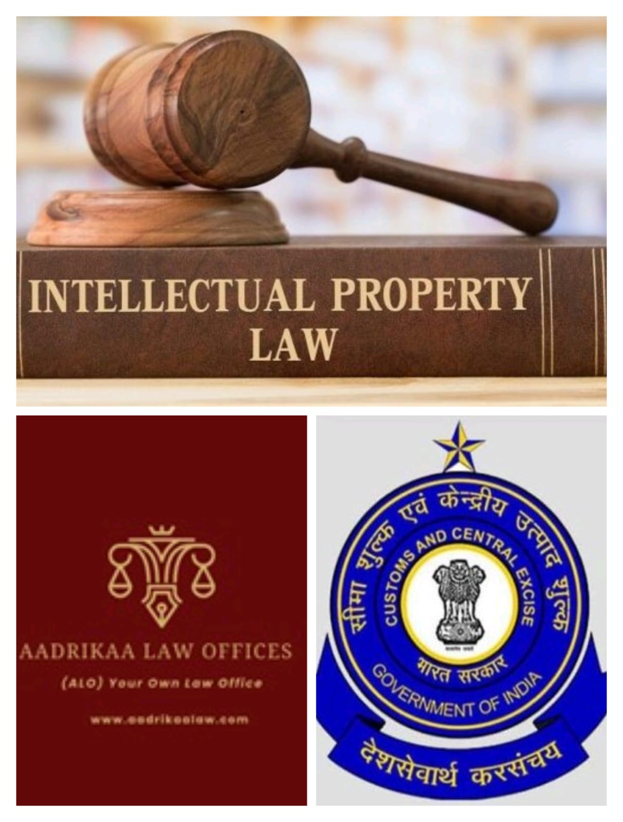 βIntellectual Property Laws are protected under Indian Customs Border Control Lawsβ
